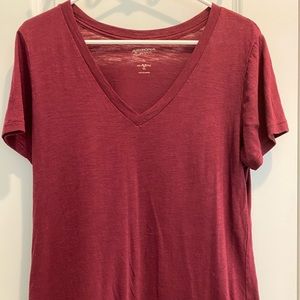 Arizona Jean company v neck short sleeve T-shirts